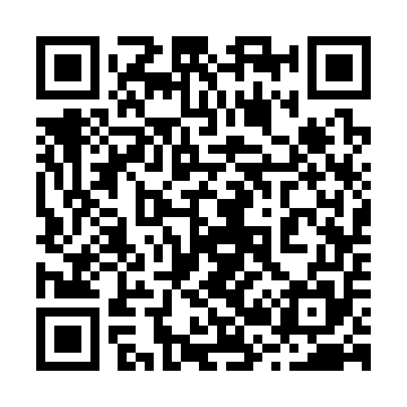 QR code for 223355