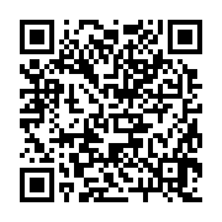QR code for 223386