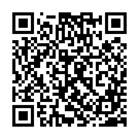 QR code for 223546
