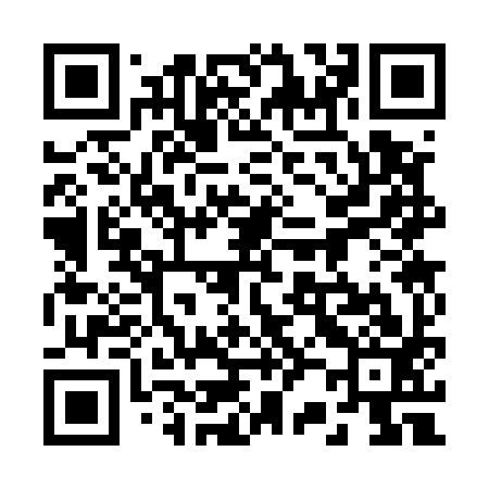 QR code for 223593