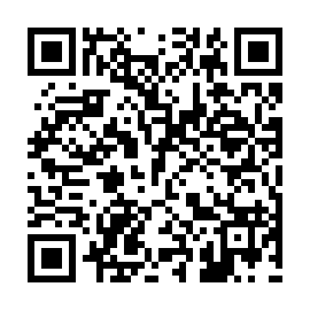QR code for 225293