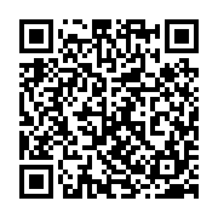 QR code for 225294