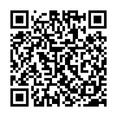 QR code for 225295