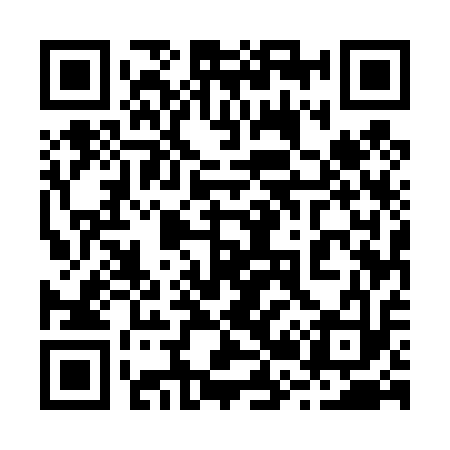 QR code for 225413