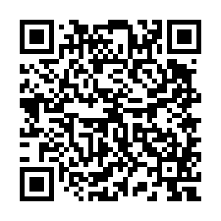 QR code for 225485