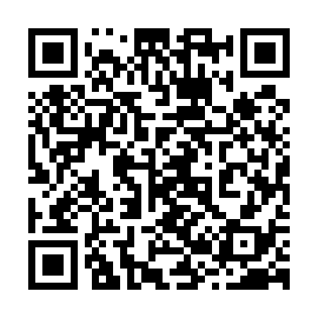 QR code for 225538