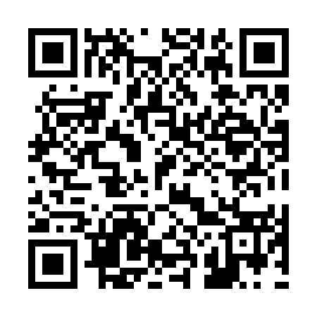 QR code for 228253