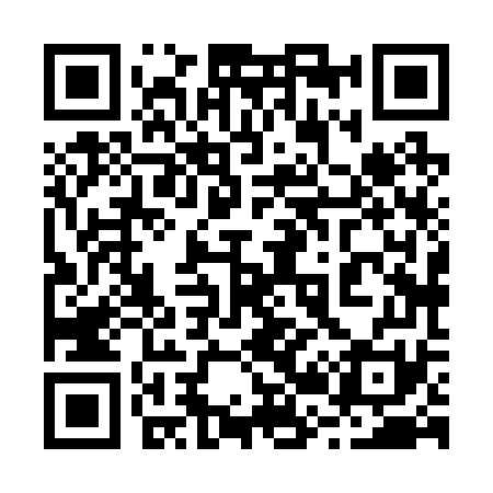 QR code for 228271