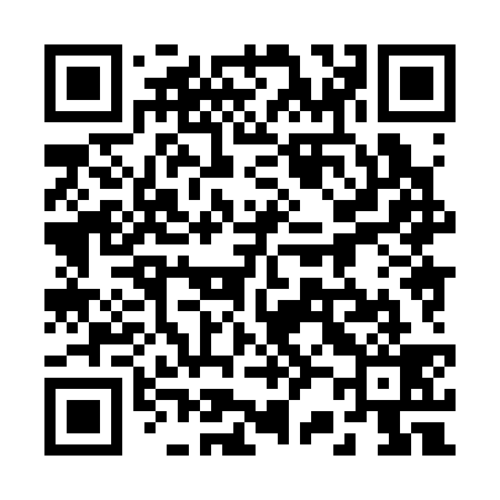 QR code for 228339