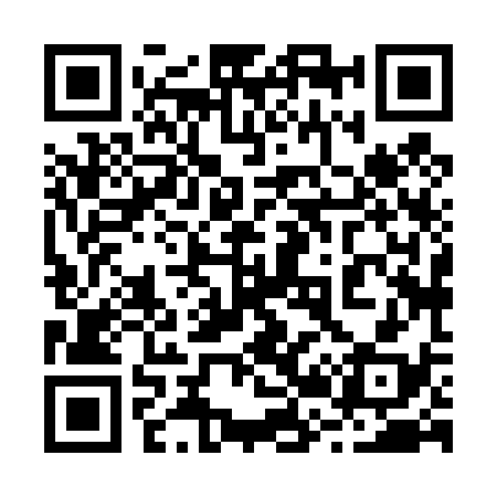 QR code for 228438