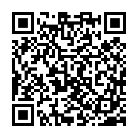QR code for 228463