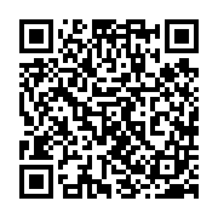 QR code for 228603