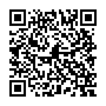 QR code for 228725