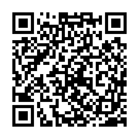 QR code for 228753