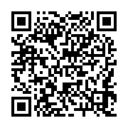QR code for 228953