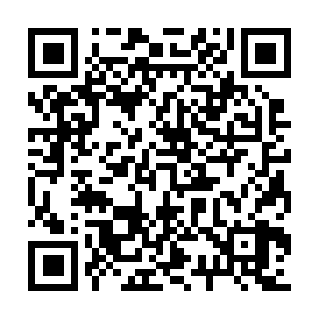 QR code for 233228