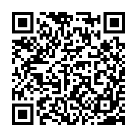 QR code for 233317