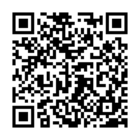 QR code for 233334