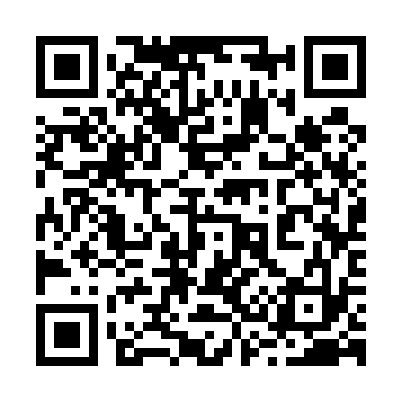 QR code for 233533