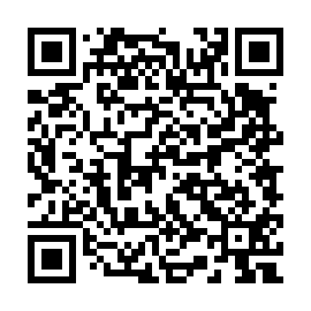 QR code for 234411