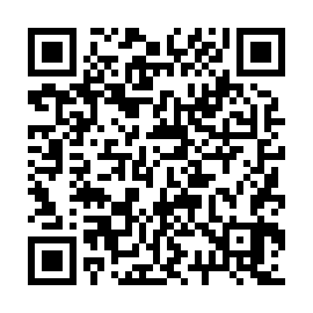 QR code for 234863