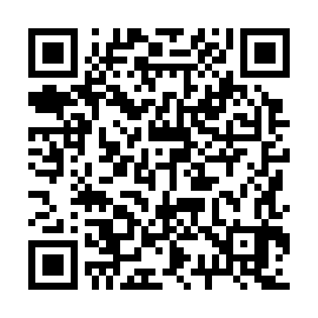 QR code for 238383