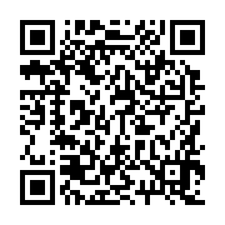 QR code for 238394