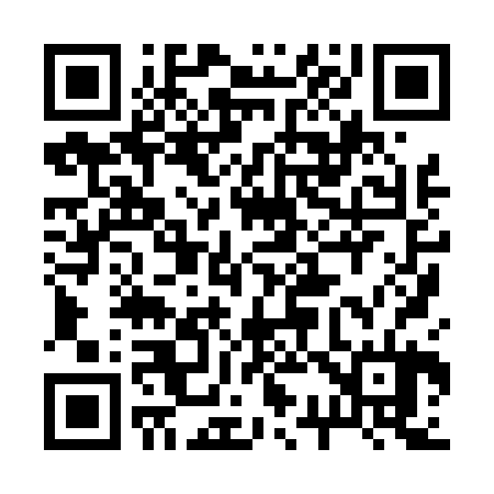 QR code for 238424