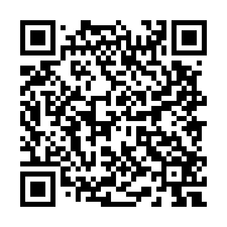 QR code for 238506