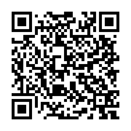 QR code for 238533