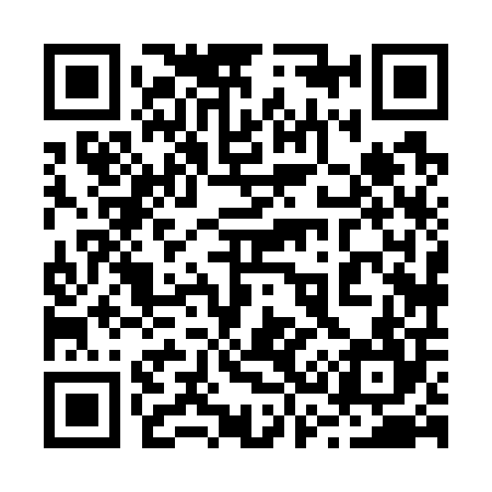 QR code for 238704