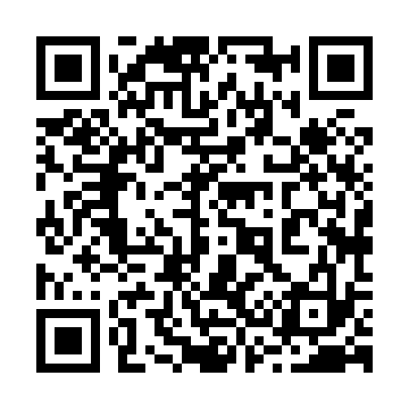 QR code for 238833