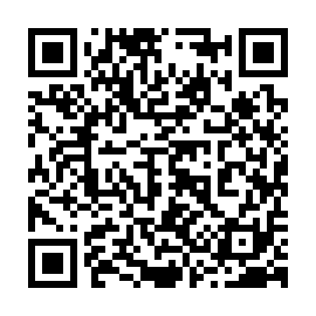 QR code for 239311