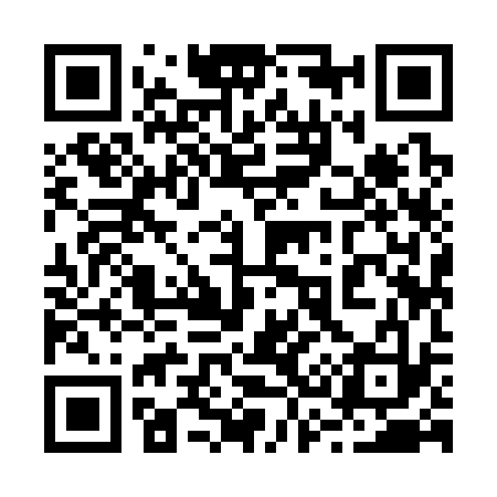 QR code for 239333