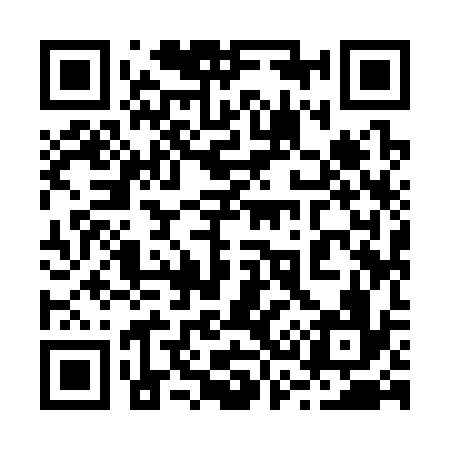 QR code for 239336