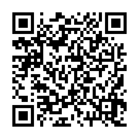 QR code for 239536