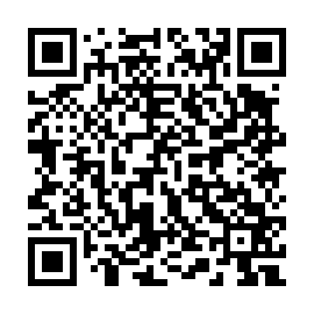 QR code for 241463