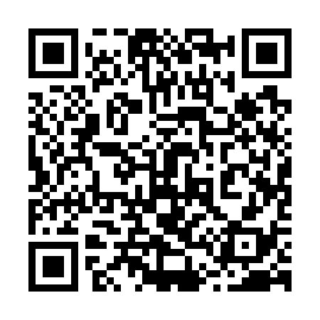 QR code for 241738