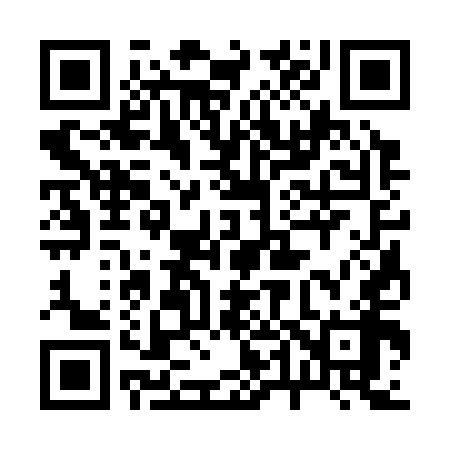 QR code for 243358