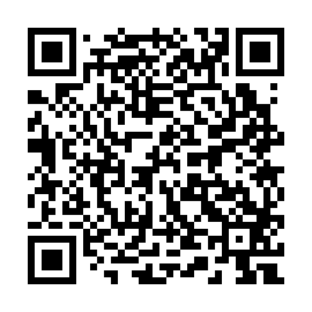 QR code for 243383