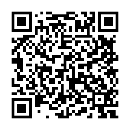 QR code for 243813