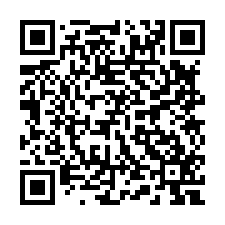 QR code for 243817