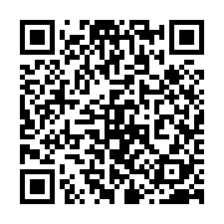 QR code for 243828
