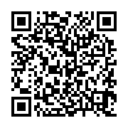 QR code for 244381