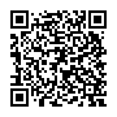 QR code for 245602