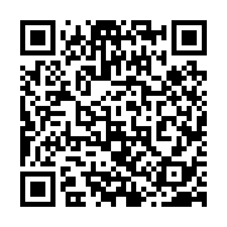 QR code for 246238
