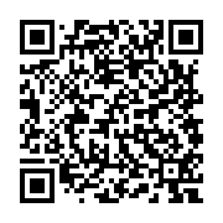 QR code for 246911