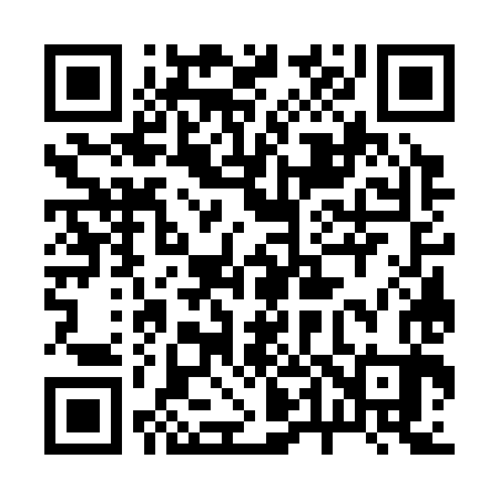 QR code for 247383