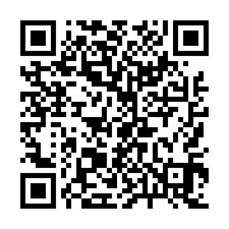 QR code for 248411