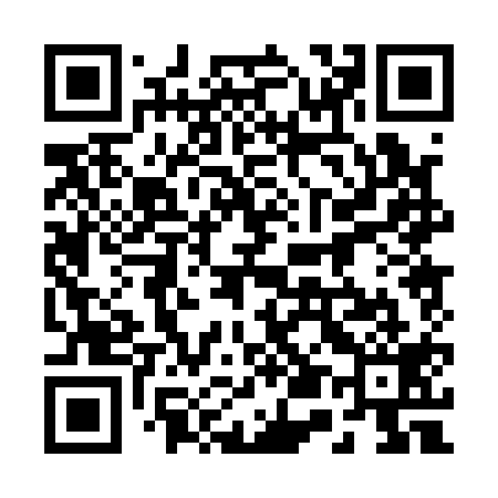 QR code for 250119